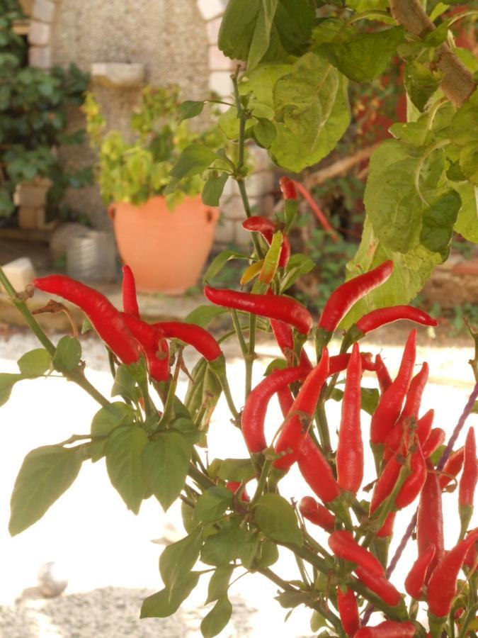 Secret Garden 76 Sq.M. Apartment Close To City Center Ιωάννινα Εξωτερικό φωτογραφία
