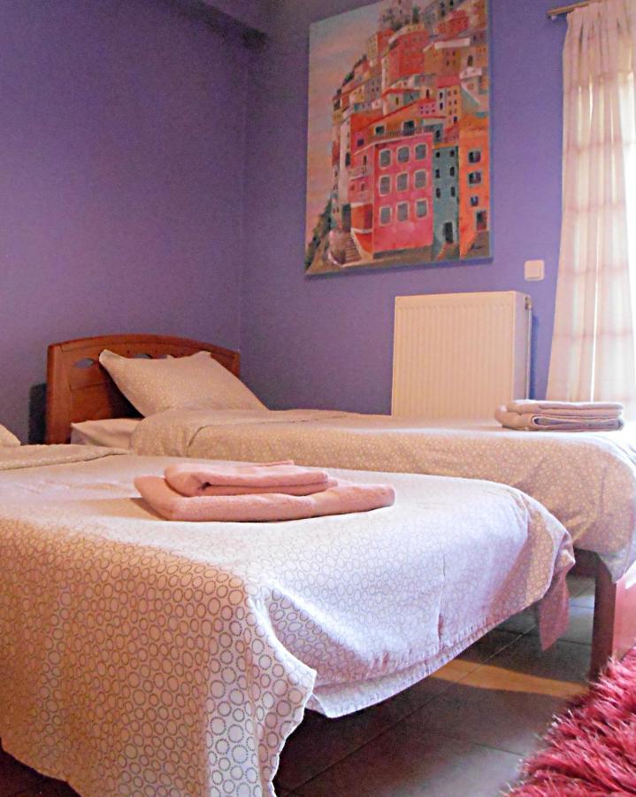 Secret Garden 76 Sq.M. Apartment Close To City Center Ιωάννινα Εξωτερικό φωτογραφία